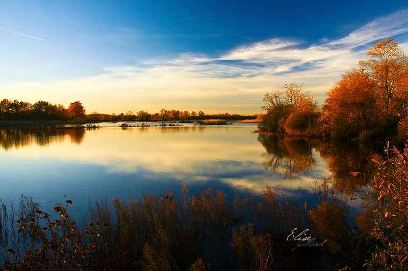 Autumn light