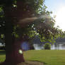 Lake Anna on a Sunny Day