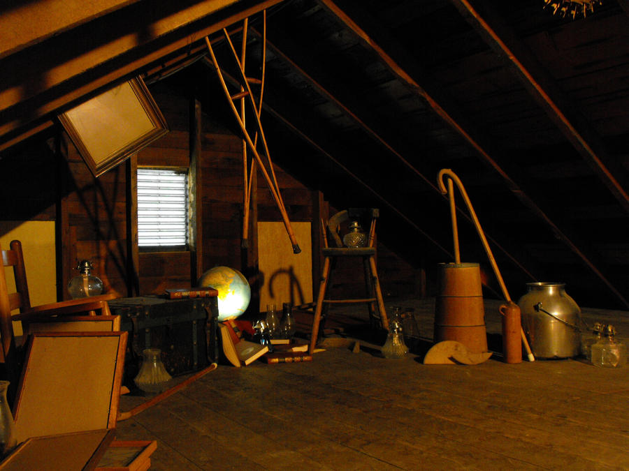 Attic Shoot