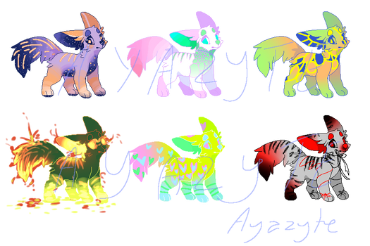 1/6 OPEN Canine Adopts