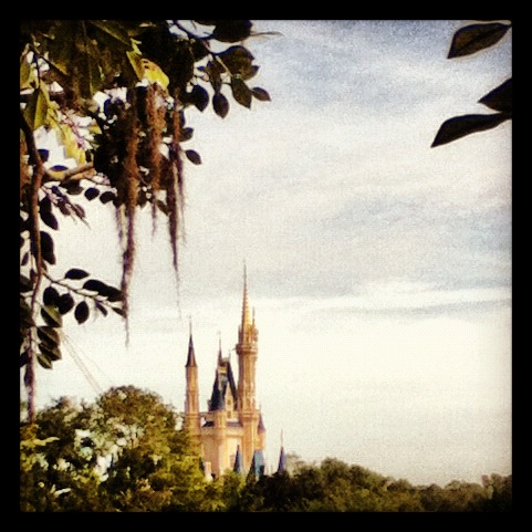 Cinderella's Castle 2