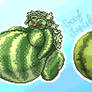 Bellossom-Wailord 182.314