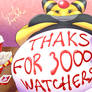 3000 Watchers