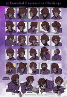 25 Essential Expressions of Kaisae