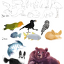 Animal Studies