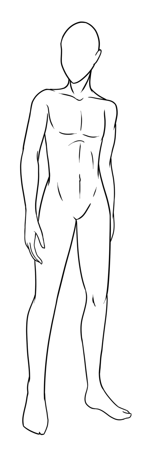 Featured image of post Human Male Drawing Bases