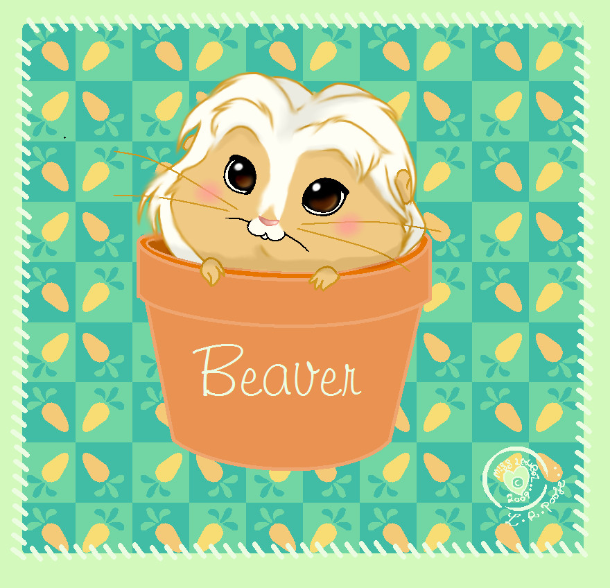 Beaver my Guniepiggy