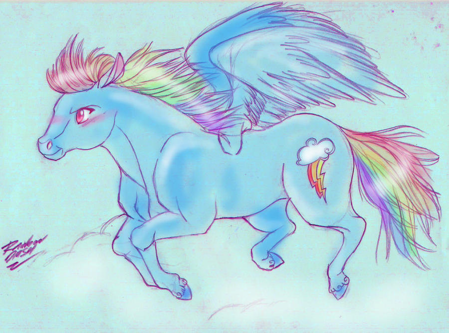 RAINBOW DASH PONY