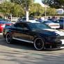 black white 2008 Shelby GT500