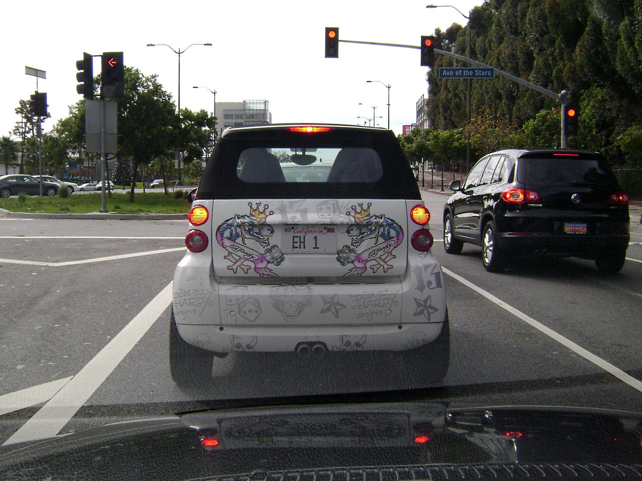 Ed Hardy Edition Smart car