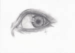 W.I.P of eye by soulfulSIGHT