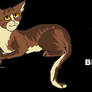 Keep calm brambleclaw