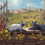 Tuscany Cats