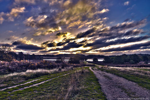 Richmond Park