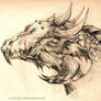 Dragon Head Side