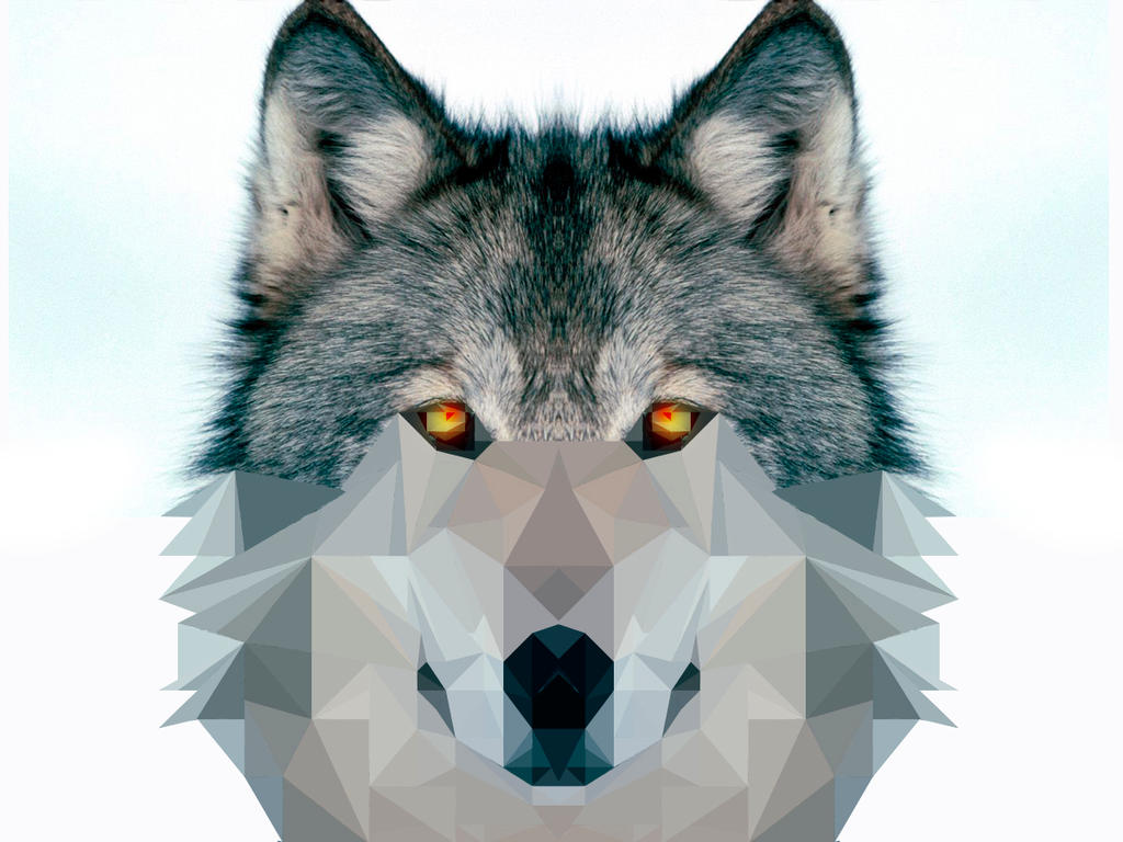 Lobo Low Poly by Kamikaze-3D on DeviantArt