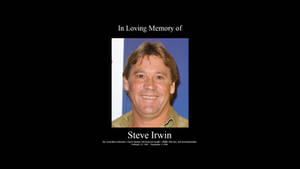 In Loving Memory of Steve Irwin