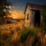 Days Of Old