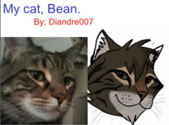Cartoonized Version of my Cat, Bean