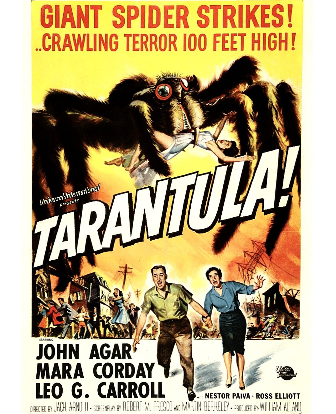 Tarantula Deviantart Tarantula! by MonsterdudeGangster on DeviantArt