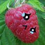 Raspberrythingy