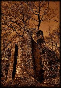Tree in Ruines