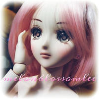 I dream of dollfie dream