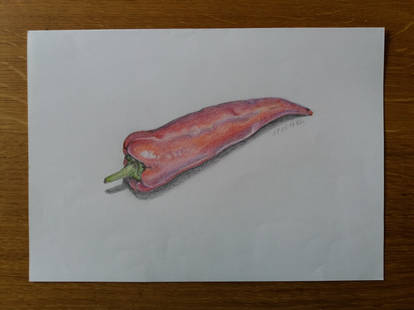 Explore the Best Pointed Art | DeviantArt