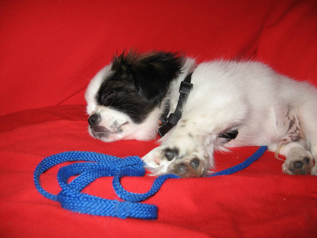 nappy time fun by MiKE-THE--P on DeviantArt