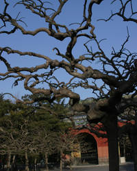 Ritan Park by passionandsoul