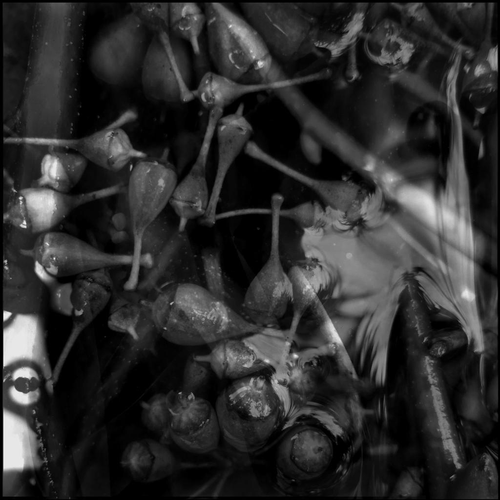 Indisposed by aspruli on DeviantArt