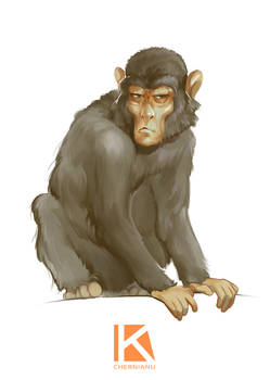 Explore the Best Monkey Art | DeviantArt