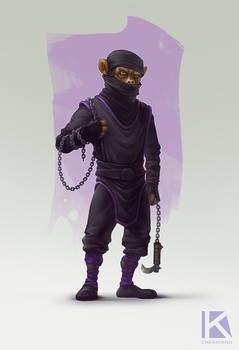 Ninja Monkey