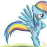 Rainbow Dash