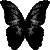 deadlybuterfly avatar