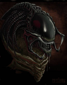 Predalien Collaboration