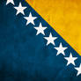 Bosnia and Herzegowina Grunge Flag