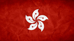 Hong Kong Grunge Flag