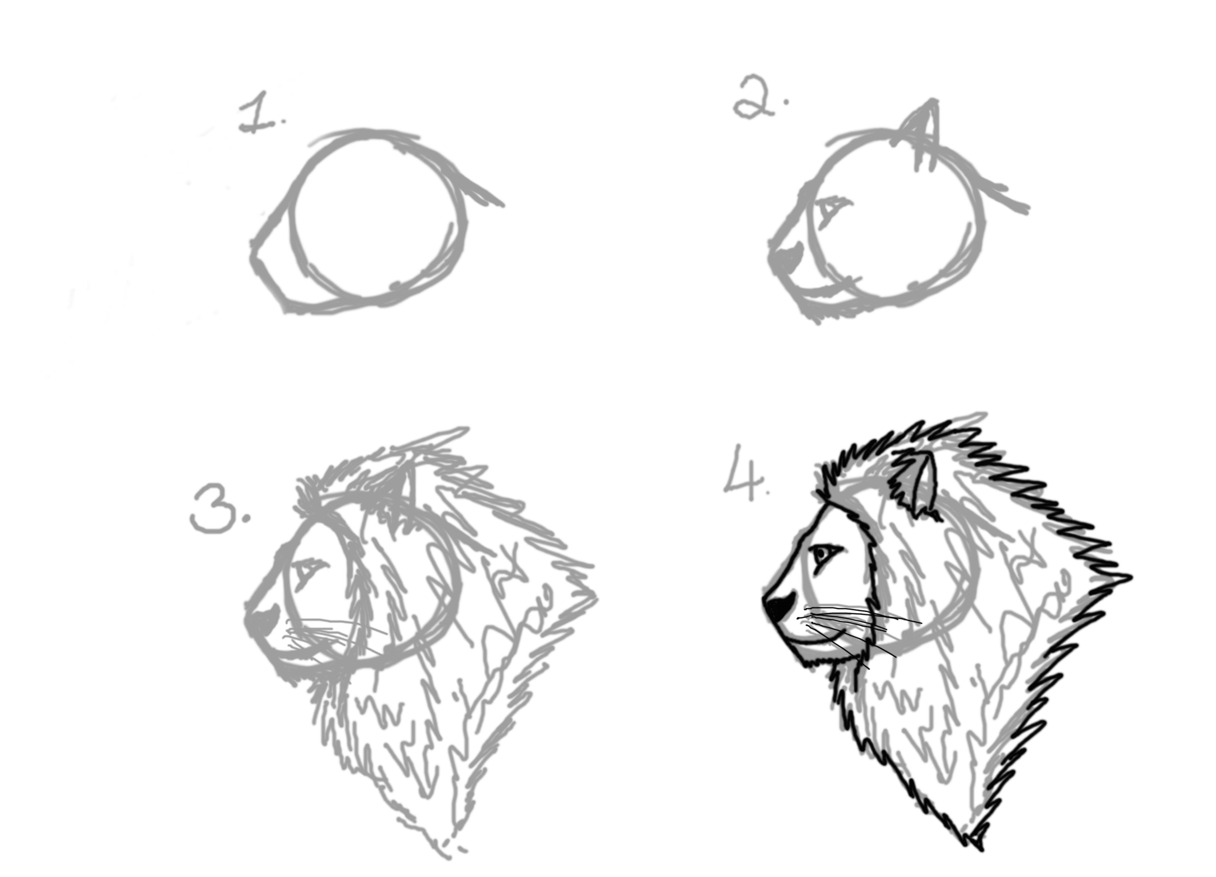 realistic lion drawing step by step