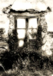 A Window in Cambre