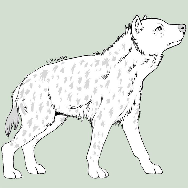 Spotted Hyena