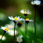 .:pure love:. by neslihans