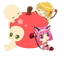 Tokyo Mew Mew Dolls Collab