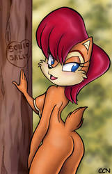 Sally in the Great Forest by CCN-Sally-Acorn by TheNoblePirate