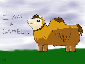 I am a Camel