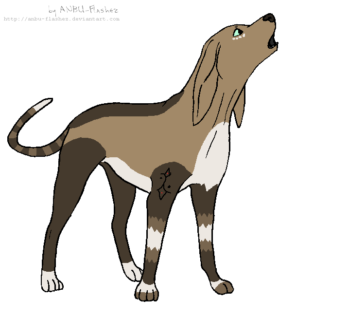 Tribal coonhound