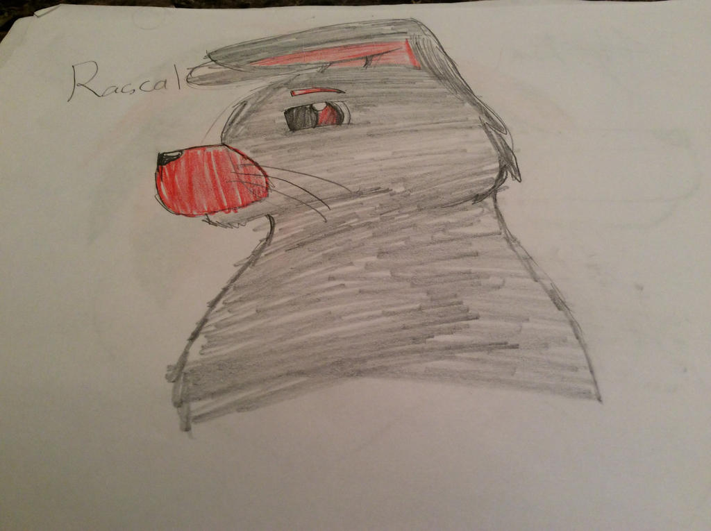 Rascal by SnowyDaDragonWolf13 on DeviantArt