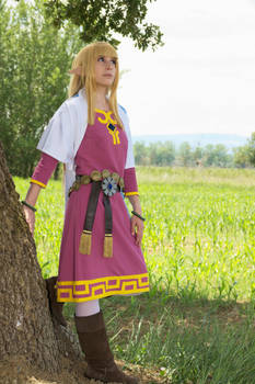 Zelda- The Legend of Zelda Skyward Sword