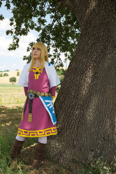 Zelda- The Legend of Zelda Skyward Sword