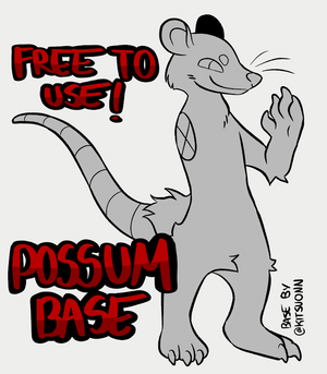 Possum base !!